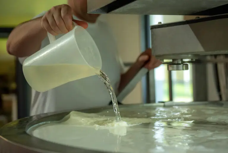 Labzugabe & Dicklegung