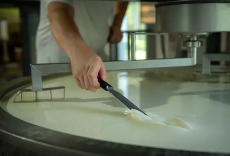 Bruchbehandlung: Schneiden