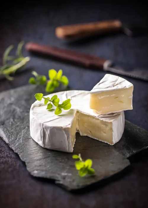 French camembert pieces served on slate surface